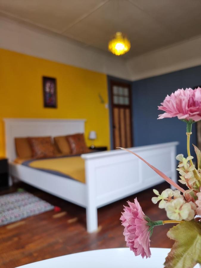 Meraki Hostel - Cerro Alegre - 瓦尔帕莱索 外观 照片
